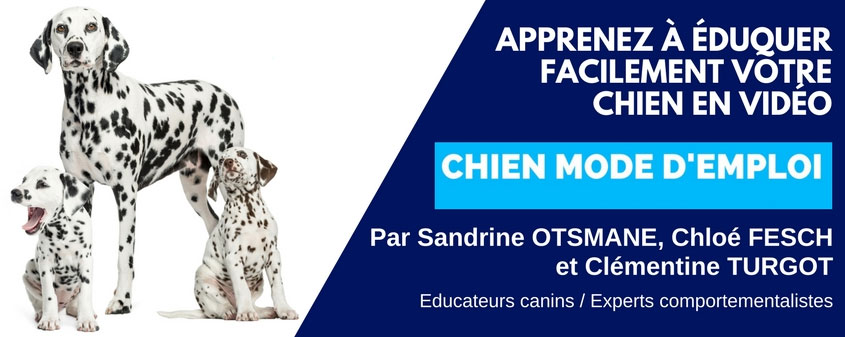 Chien-Mode-d'Emploi