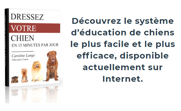 Dressez-votre-Chien-en-15-Minutes-par-jour