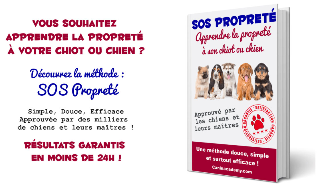 SOS-Propreté