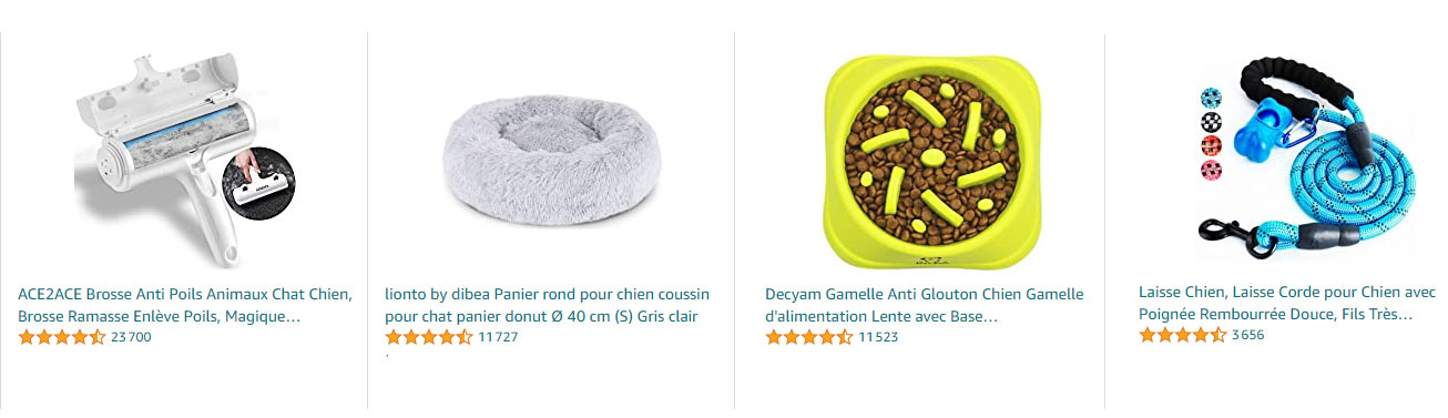 accessoires-pour-chien