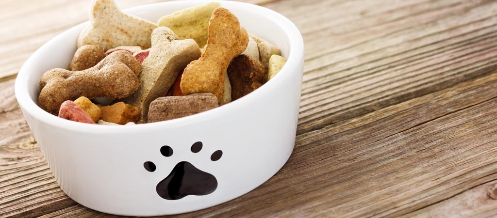 aliments-pour-chien