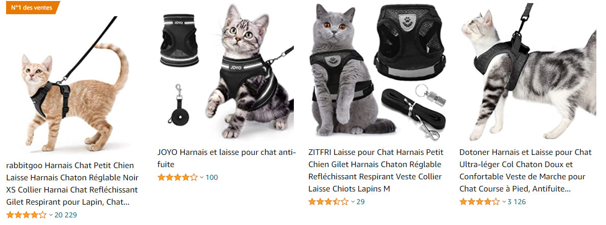 amazon-laisse-chat