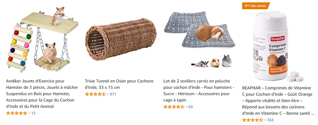 cochon-d'inde-accessoires