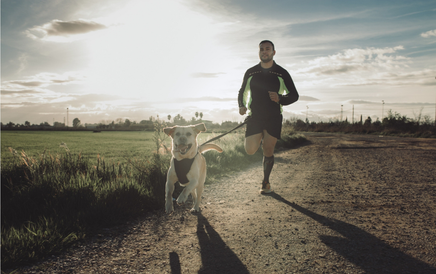 courir-avec-un-chien