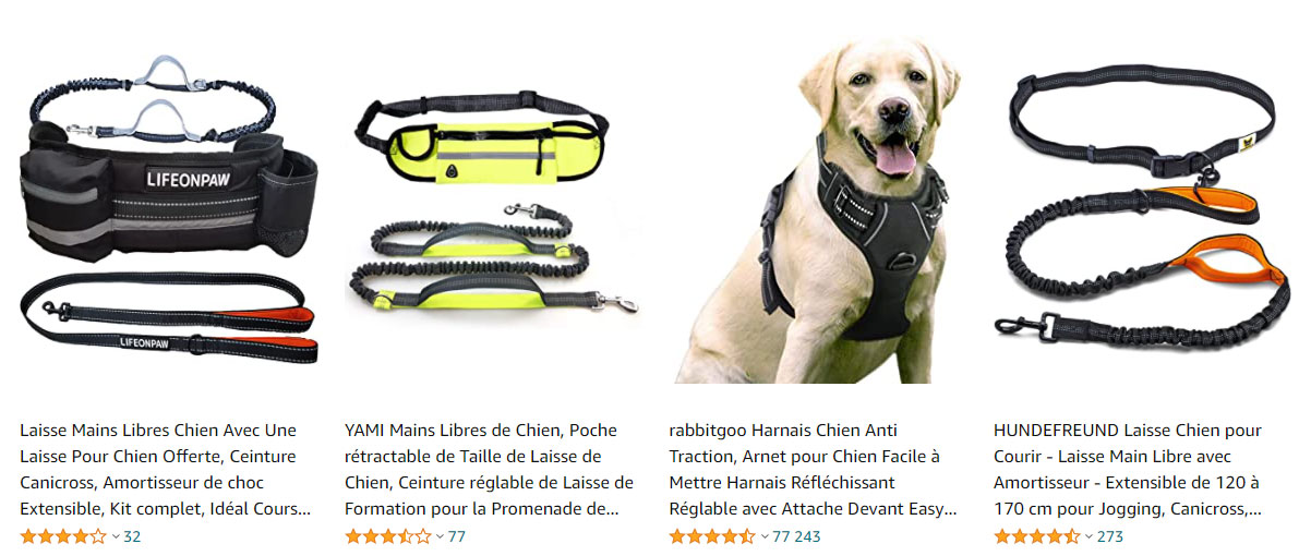 course-chien