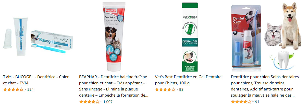 dentifrice-chien