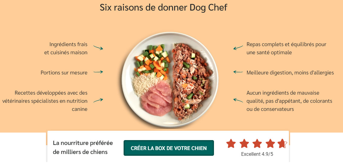 dog-chef-box