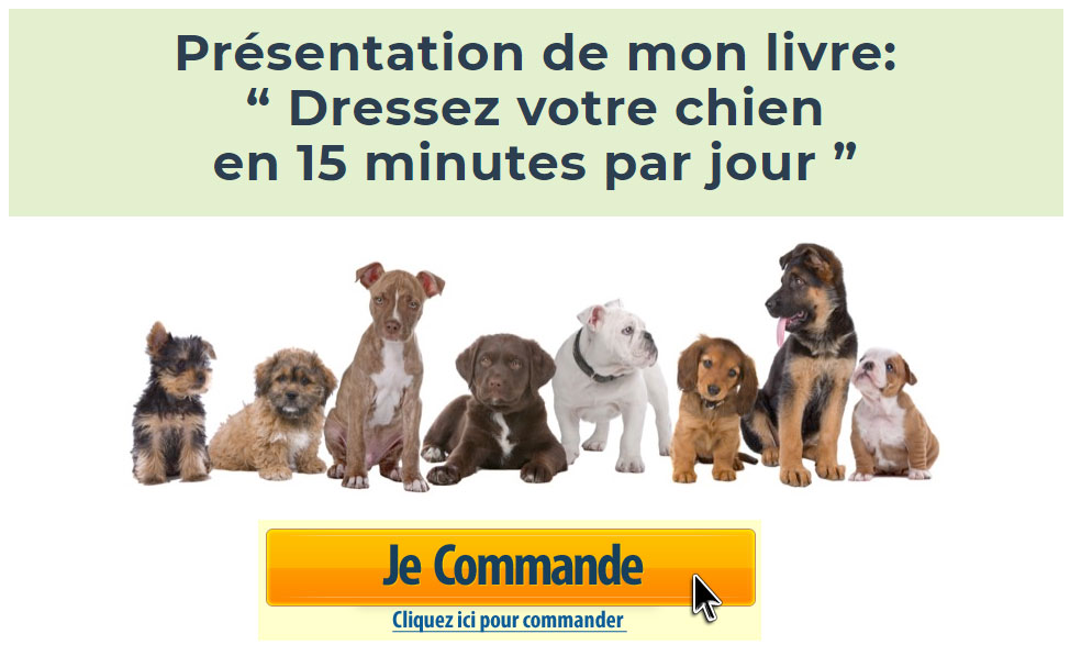 dresser-son-chien-en-15-minutes