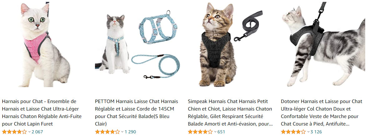 laisse-chat-amazon